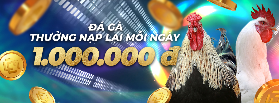 Nạp lại hàng ngày – Đá Gà: 12% lên đến 1.000.000 VND