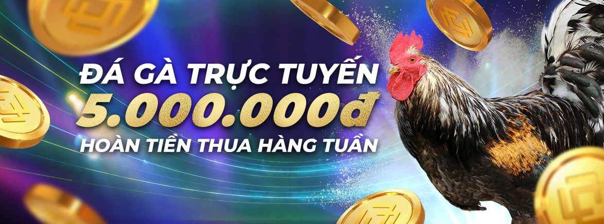 Hoàn tiền hàng tuần – Đá Gà: 3.88% lên đến 5.000.000 VND