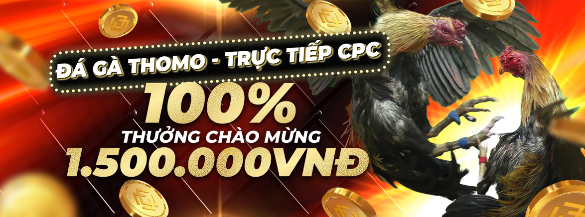 ĐÁ GÀ THOMO 100% Thưởng Nạp Lần Đầu